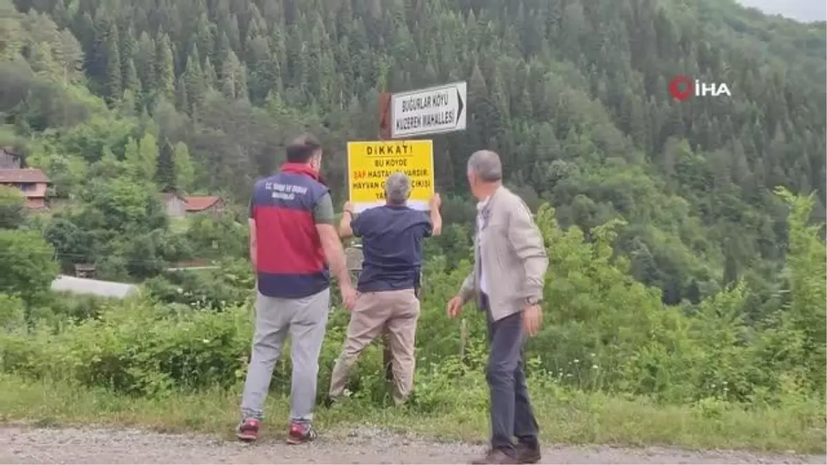 Bartın\'da Şap Hastalığı Sebebiyle Koruma Bölgesi Oluşturuldu