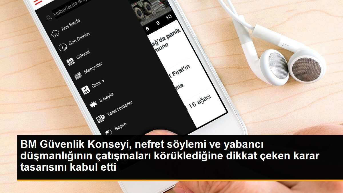 BM Güvenlik Konseyi, nefret söylemi ve yabancı düşmanlığının çatışmaları körüklediğine dikkat çeken karar tasarısını kabul etti
