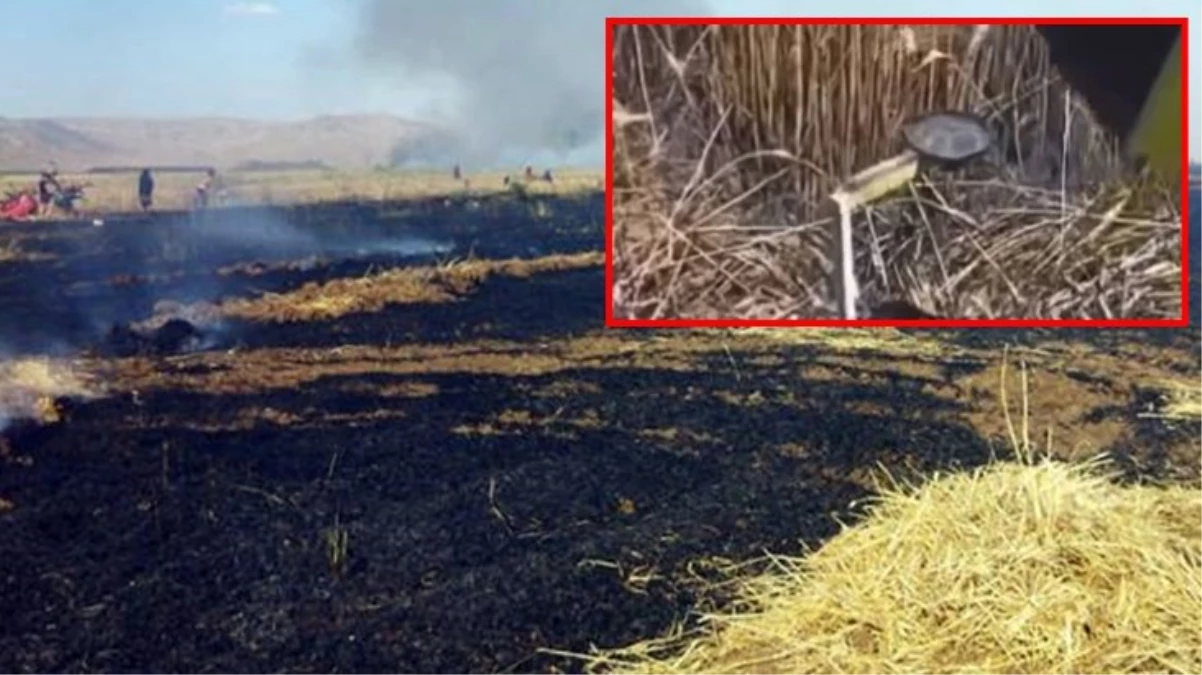 Mardin\'de 200 dönüm ekili buğday tarlası yangında zarar gördü