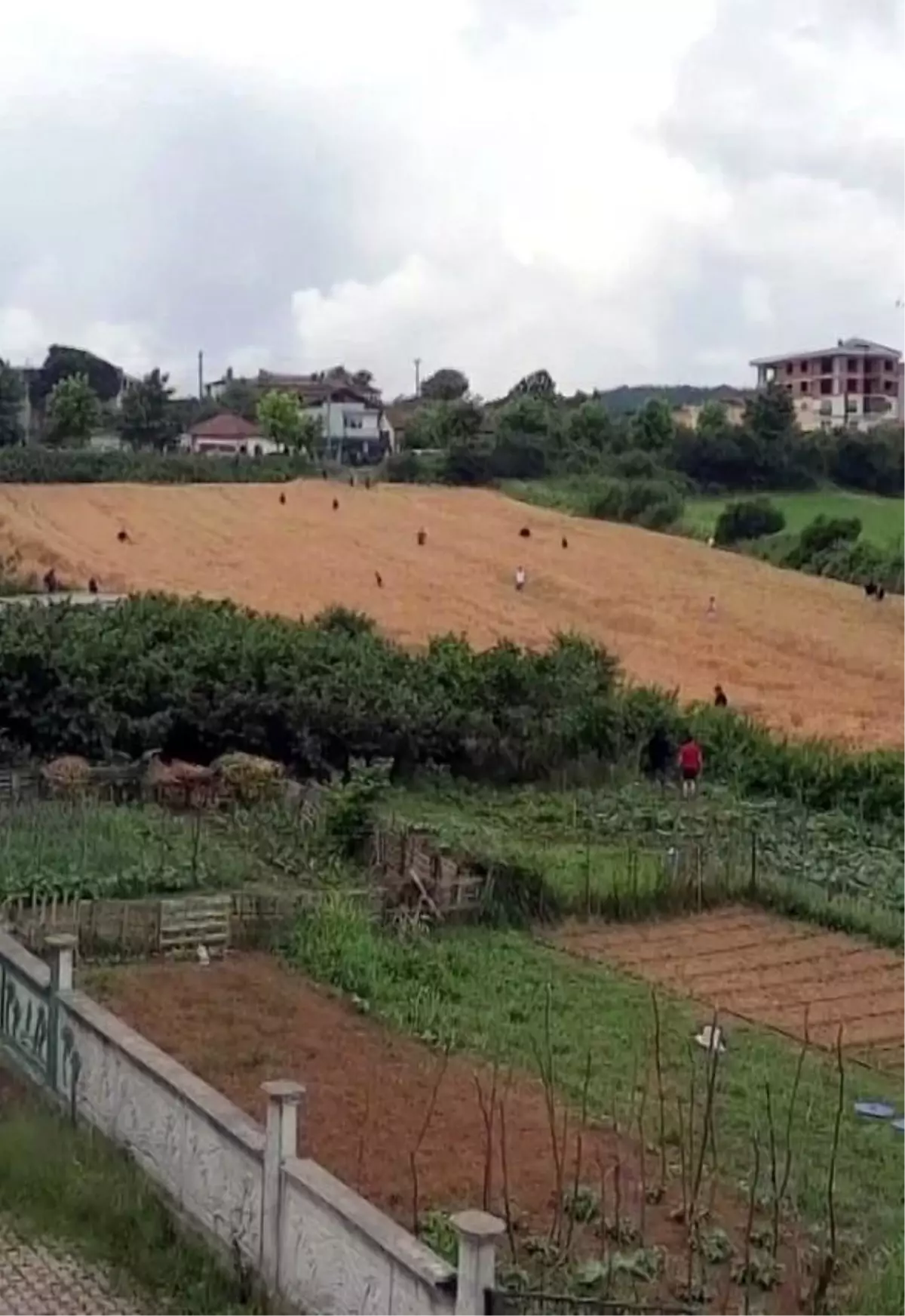 Hapis cezası bulunan şahıs polis otosundan kaçtı
