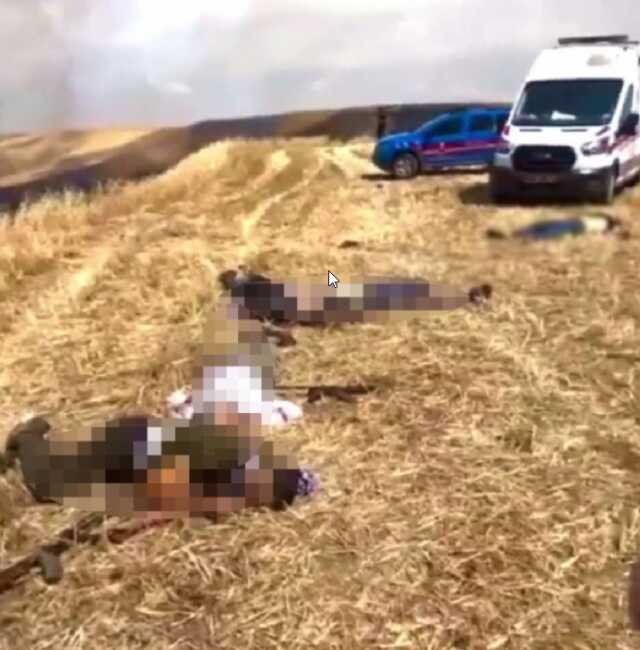 Diyarbakır'da 9 kişinin öldürüldüğü katliamın nedeni ortaya çıktı! Buğday ekili araziyi ateşe vermişler Diyarbakır'da 9 kişinin öldürüldüğü katliamın nedeni ortaya çıktı! Buğday ekili araziyi ateşe vermişler
