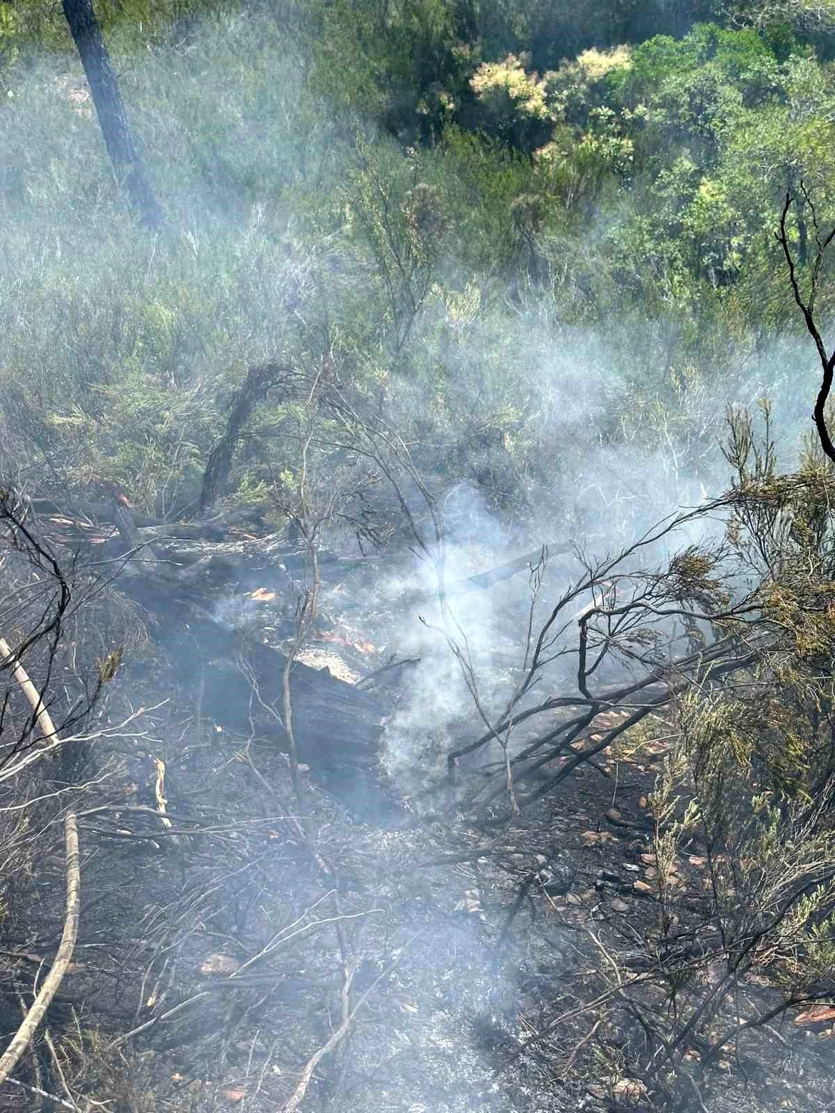 Muğla\'da Yıldırım Düşmesi Sonucu Çıkan Orman Yangını Söndürüldü