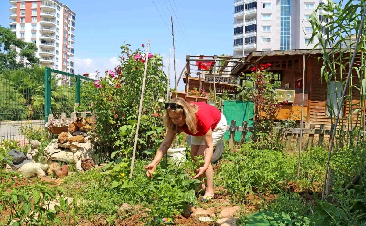 Kanser hastası kadın, Mezitli Belediyesi Hobi Bahçesi sayesinde hayata tutundu