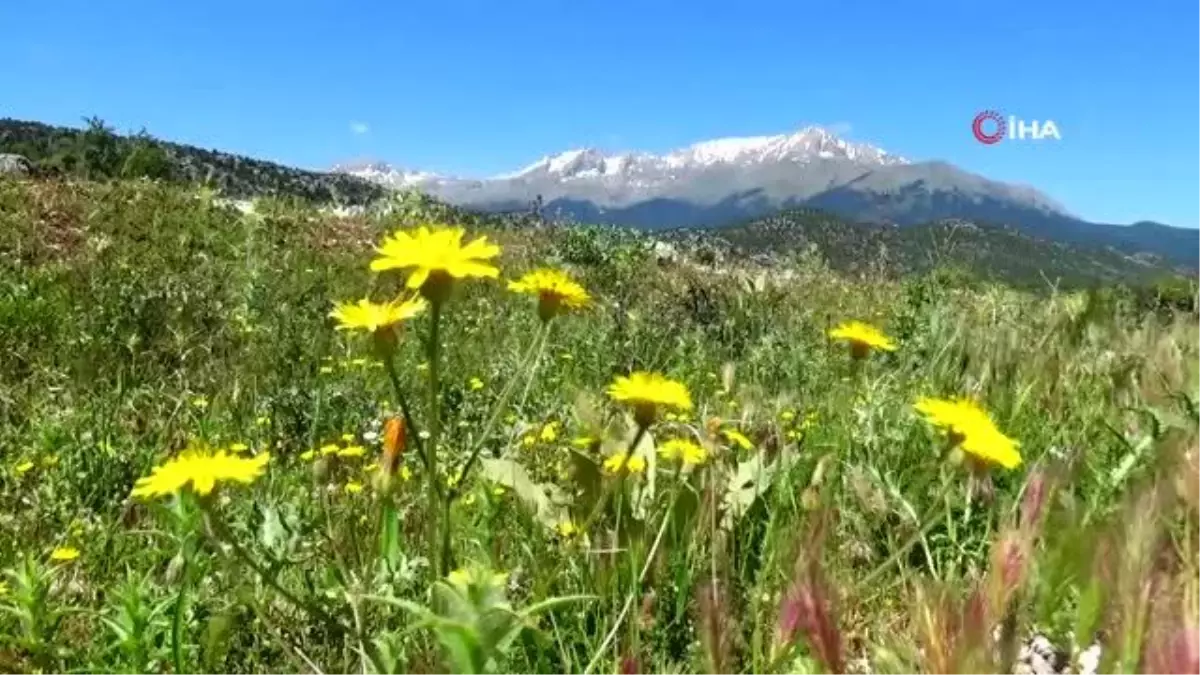 Konya\'da Besiciler Yağışlardan Memnun