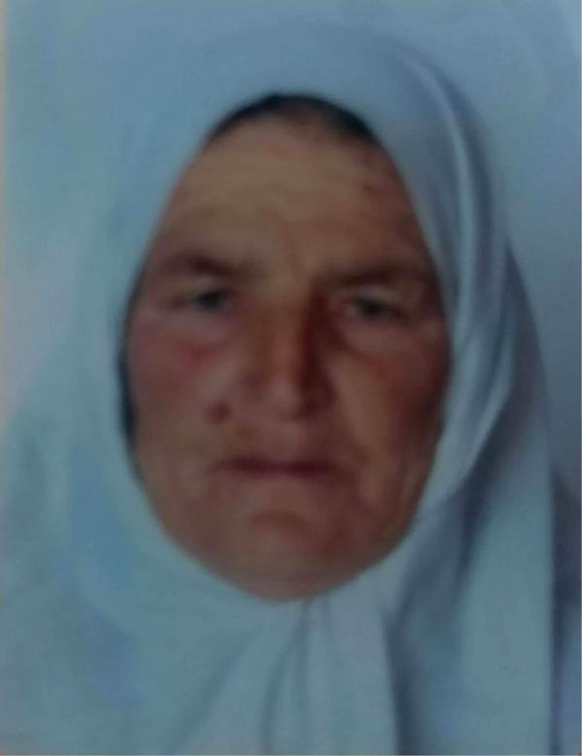 Tire\'de kaybolan 86 yaşındaki kadın ölü bulundu