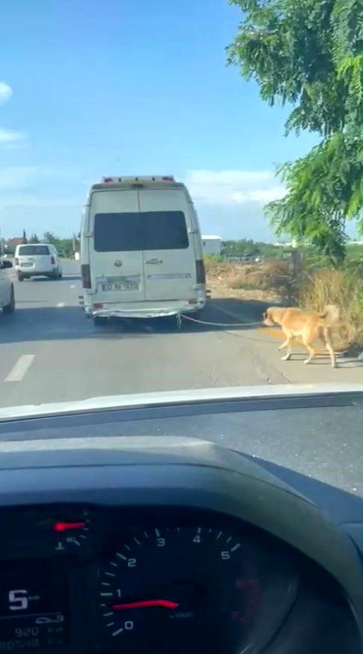 Antalya\'da Minibüsün Arkasına Bağlanan Köpek Zorla Götürüldü, Sürücü Yakalandı