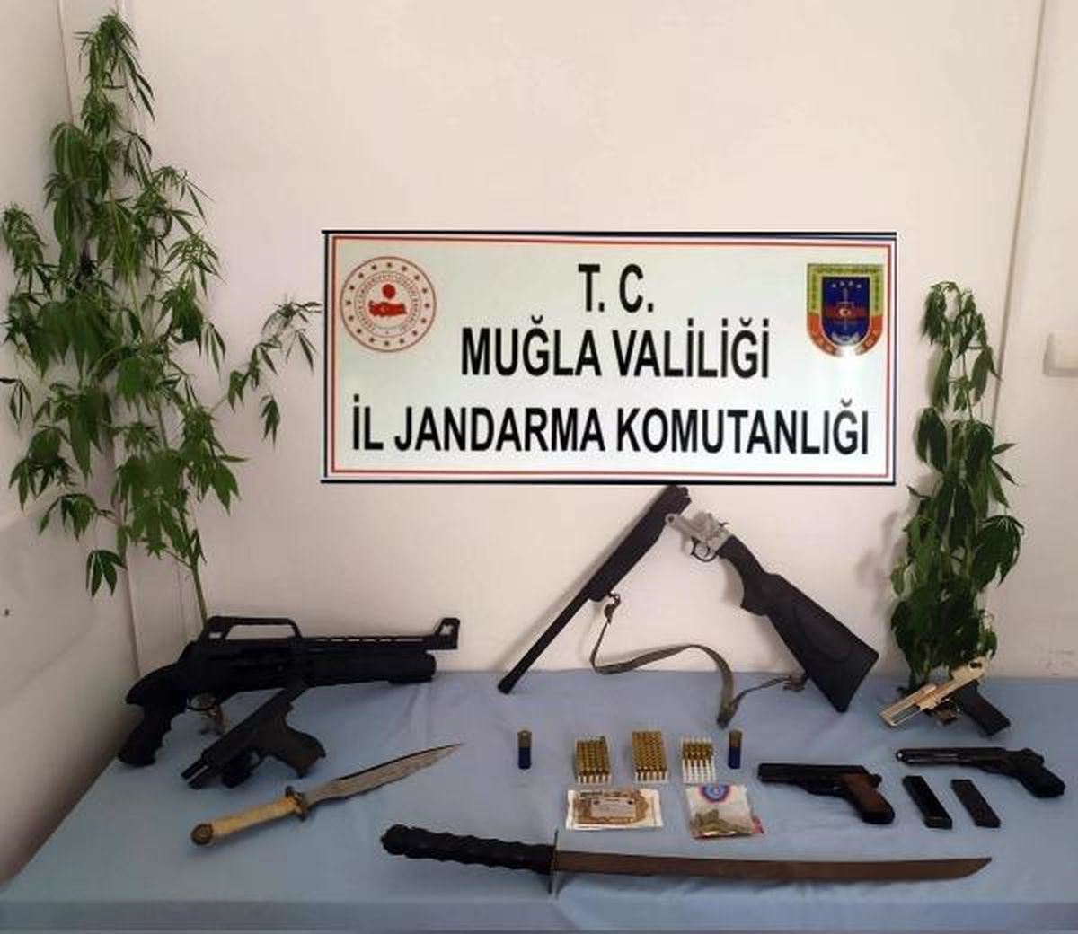 Muğla\'da silah kaçakçılarına operasyon: 4 tabanca, 3 av tüfeği ve 2 kök Hint keneviri ele geçirildi