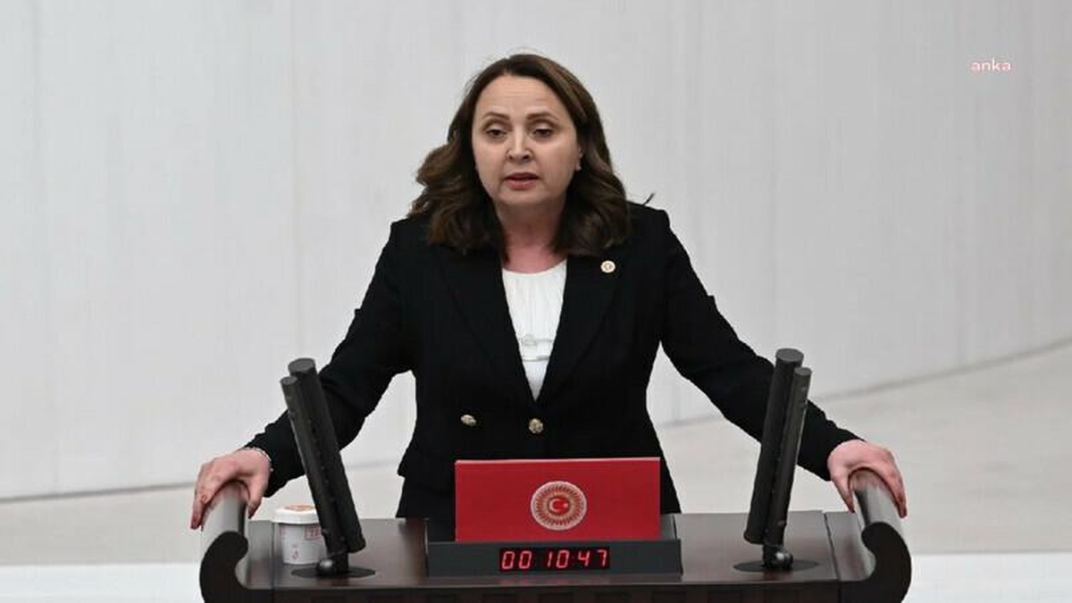 CHP Doğa Haklarından Sorumlu Genel Başkan Yardımcısı Semra Dinçer: Orman yangınları ile mücadele bütçesi düşürülmemeli