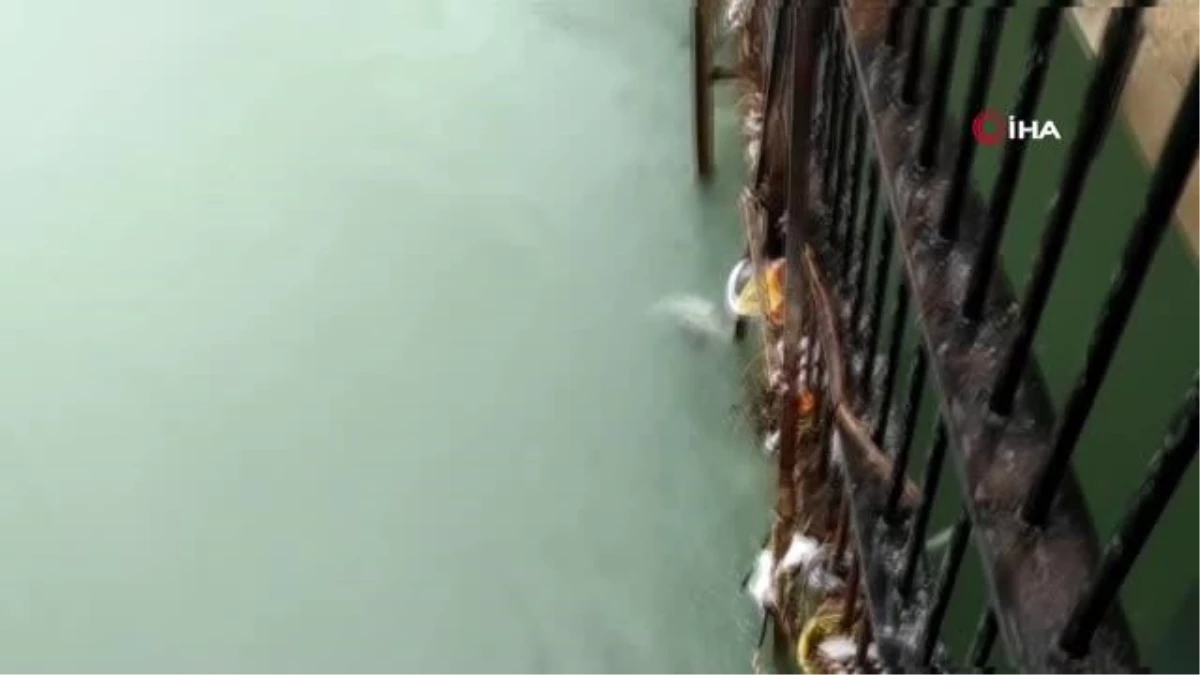 Şanlıurfa\'da sulama kanalına devrilen araçtaki 2 kardeş hayatını kaybetti