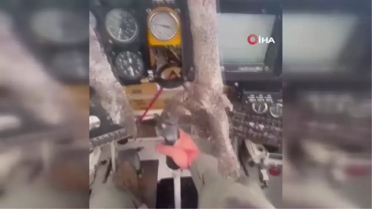 Uçağa çarpan kuş kokpite girdi, pilot kanlar içinde kaldı