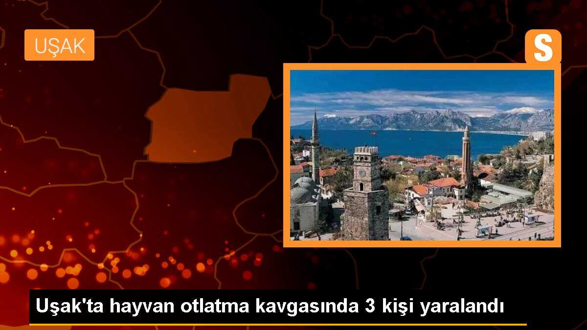 Uşak\'ta koyun otlatma anlaşmazlığından çıkan kavgada 3 kişi yaralandı