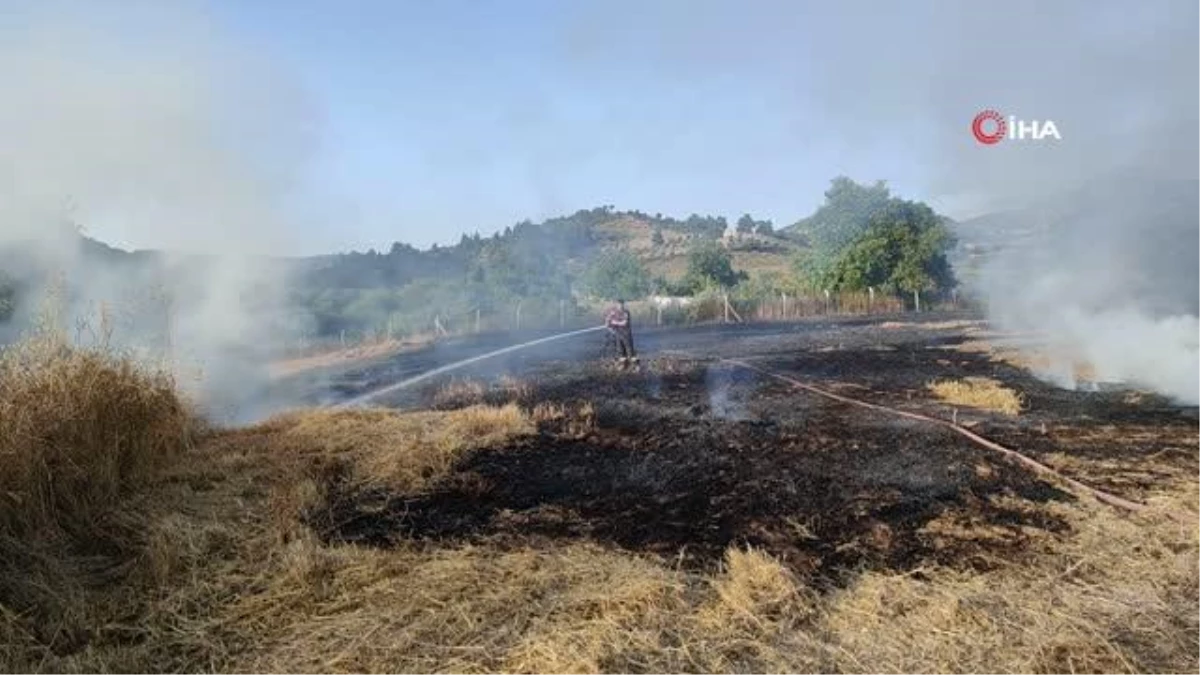 Kuşadası\'nda Buğday Tarlasında Çıkan Yangın Kontrol Altına Alındı