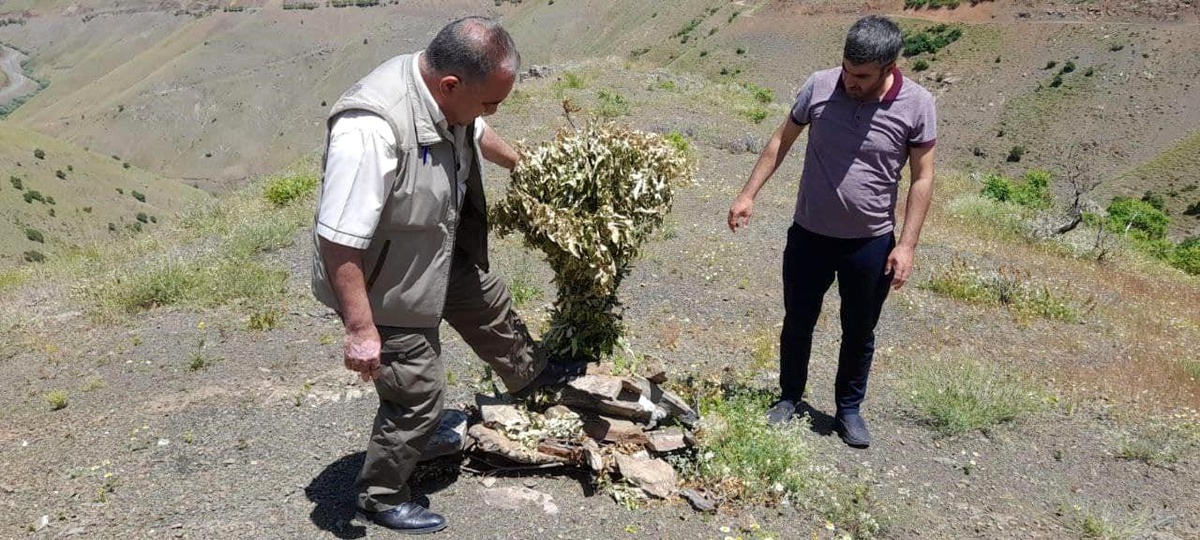 Elazığ\'da kaçak avcılığın önlenmesi için denetimler sürüyor