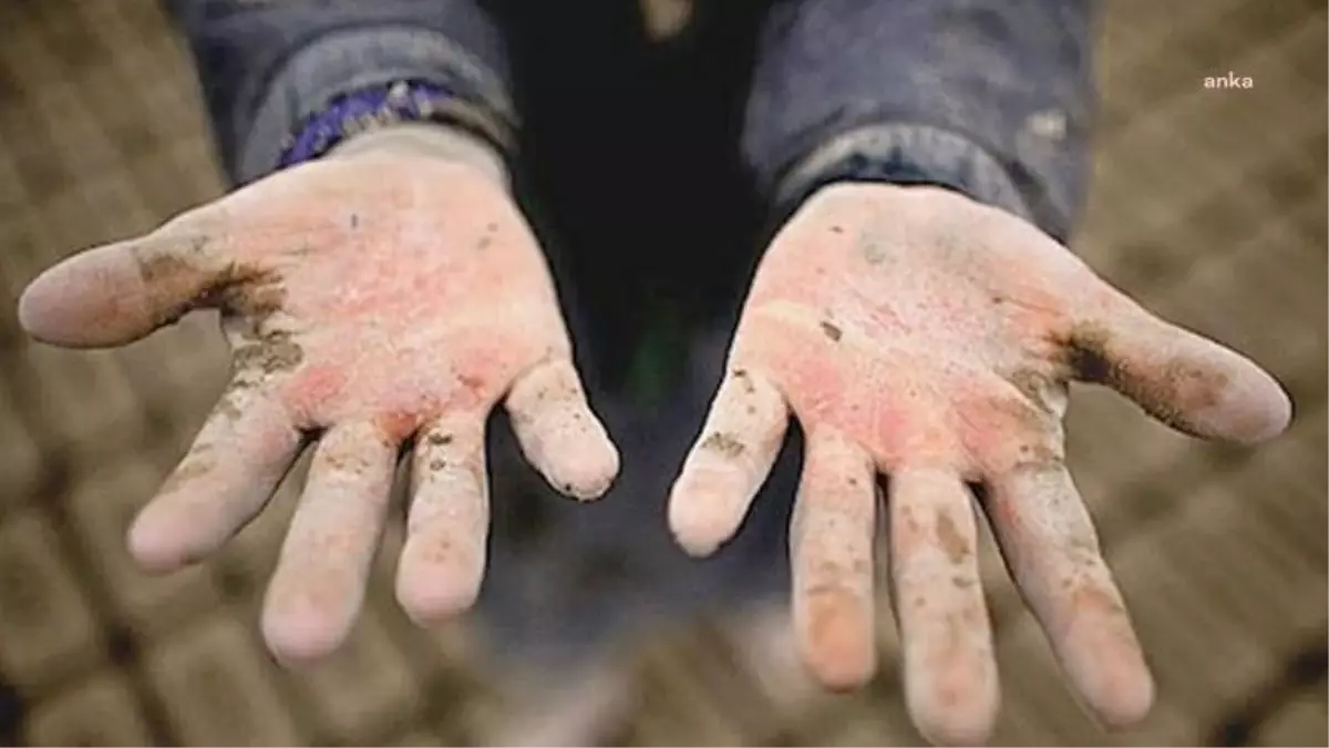 Fişek Enstitüsü Çalışan Çocuklar Bilim ve Eylem Merkezi Vakfı, TESK Başkanı Bendevi Palandöken\'e tepki gösterdi