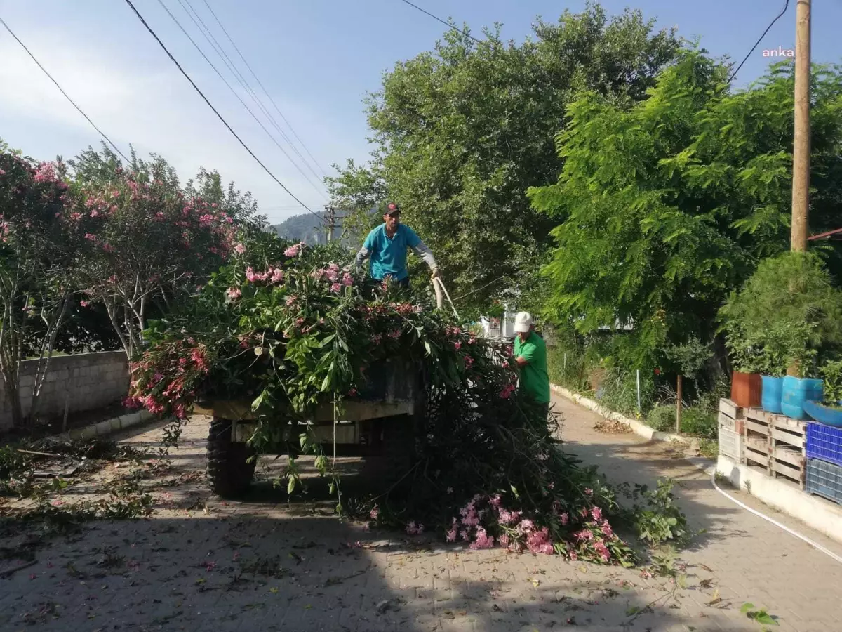 Germencik Belediyesi, ilçe genelinde temizlik ve bakım çalışmalarını hızlandırdı