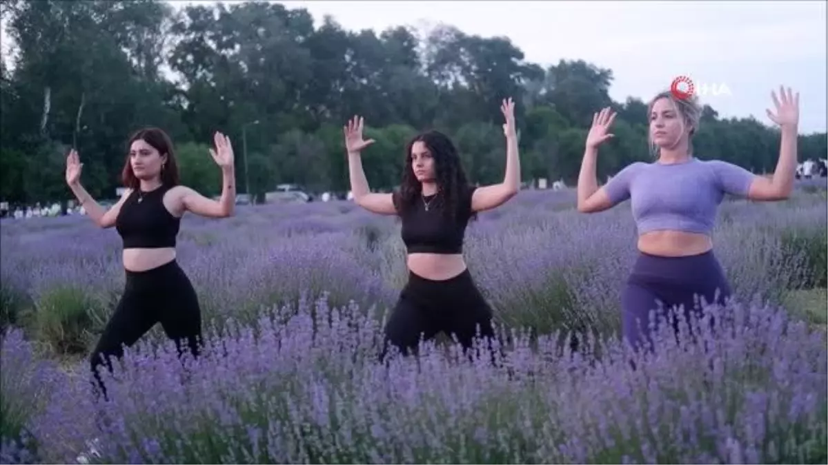 Lavanta tarlasında gün batımı eşliğinde yoga