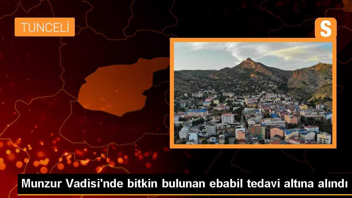 Munzur Vadisi\'nde bitkin bulunan ebabil tedavi altına alındı