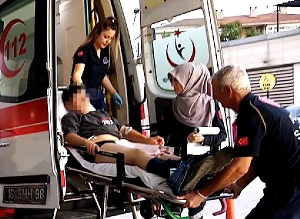 İnegöl\'de Yılan Isırdı: 13 Yaşındaki Çocuk Hastaneye Kaldırıldı