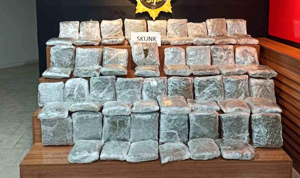 Şanlıurfa\'da 38 kilo skunk maddesi ele geçirildi