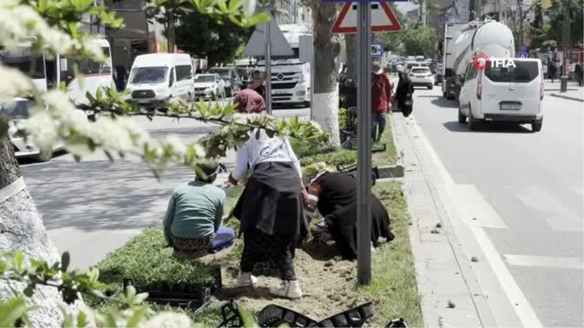 Tatvan\'da Kadınlar Tarafından Yürütülen Çiçeklendirme Çalışmaları