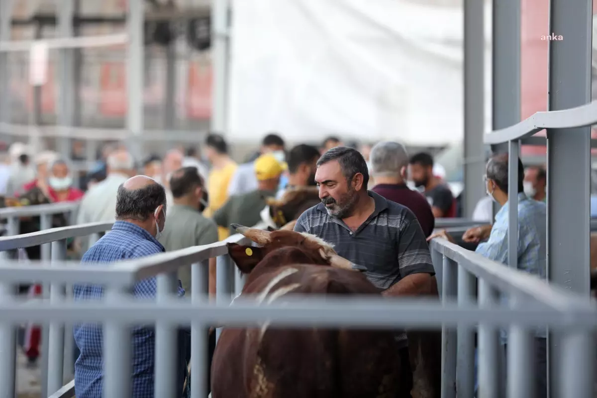 Yenimahalle Belediyesi Kurban Kesim Alanlarını Belirledi