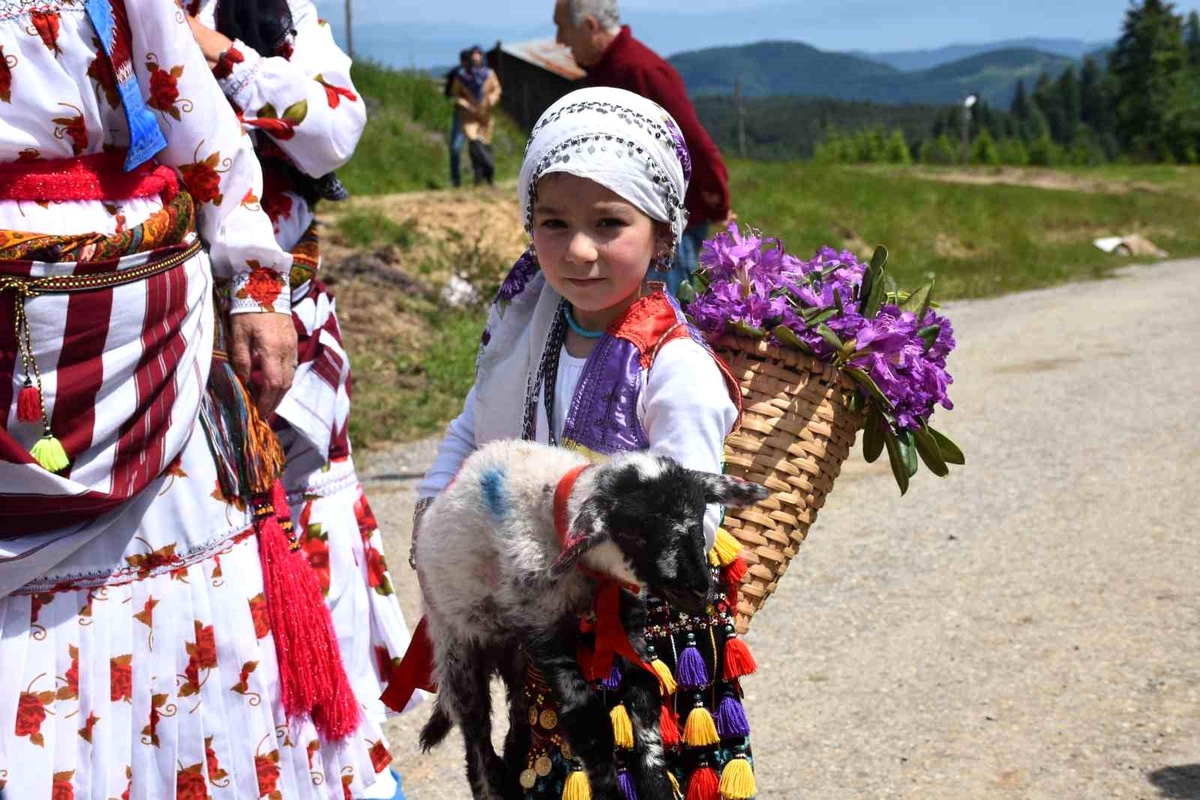 Sakarya\'nın Hendek ilçesinde asırlık yayla göçü başladı