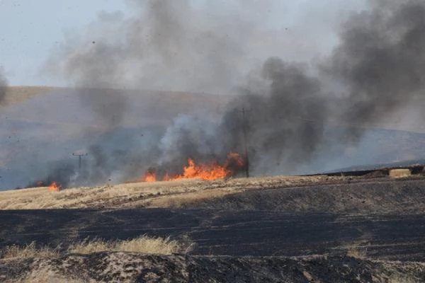 Diyarbakır''''''''da arazi kavgası: 9 kişi hayatını kaybetti