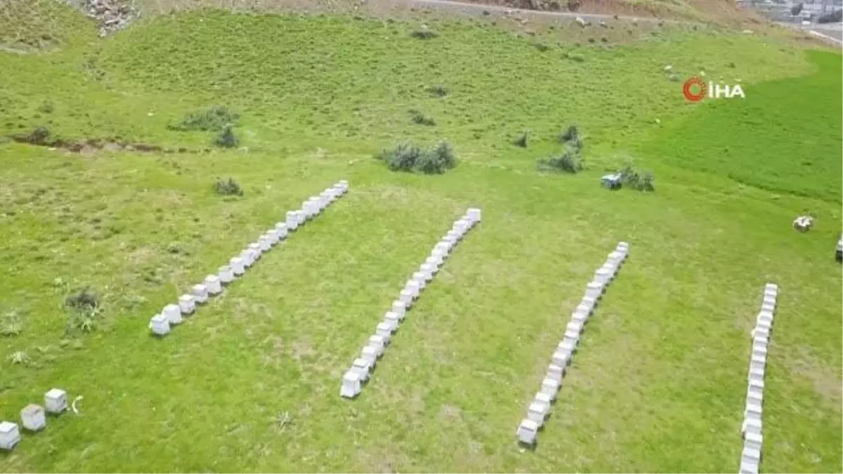 Bitlis Balı Dünya Birincisi Oldu