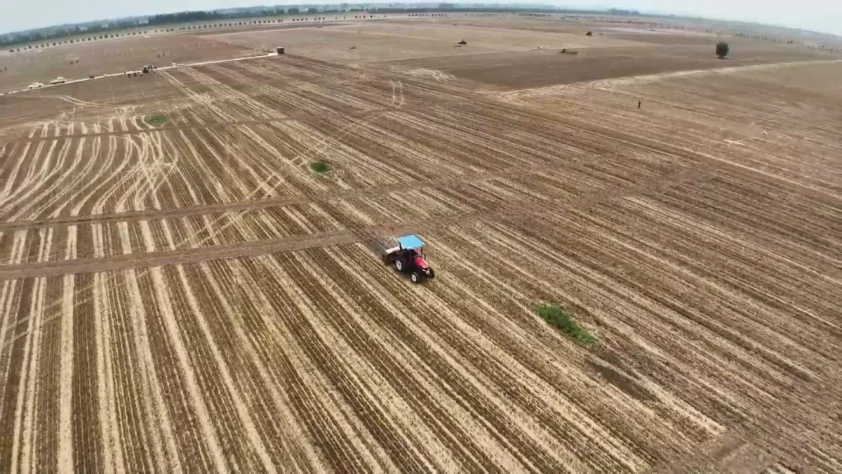 Çinli çiftçiler, BeiDou Navigasyon Uydu Sistemi ile tarımı geliştiriyor