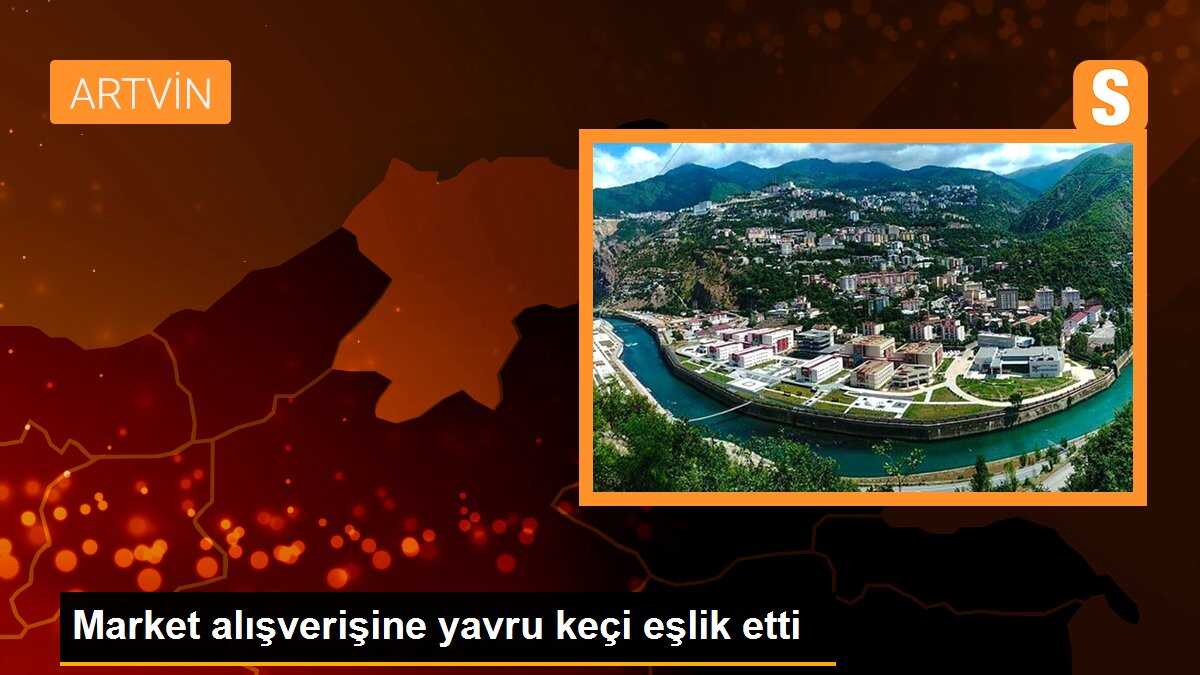 Market alışverişi yapan sahibine eşlik eden yavru keçi ilginç görüntüler oluşturdu