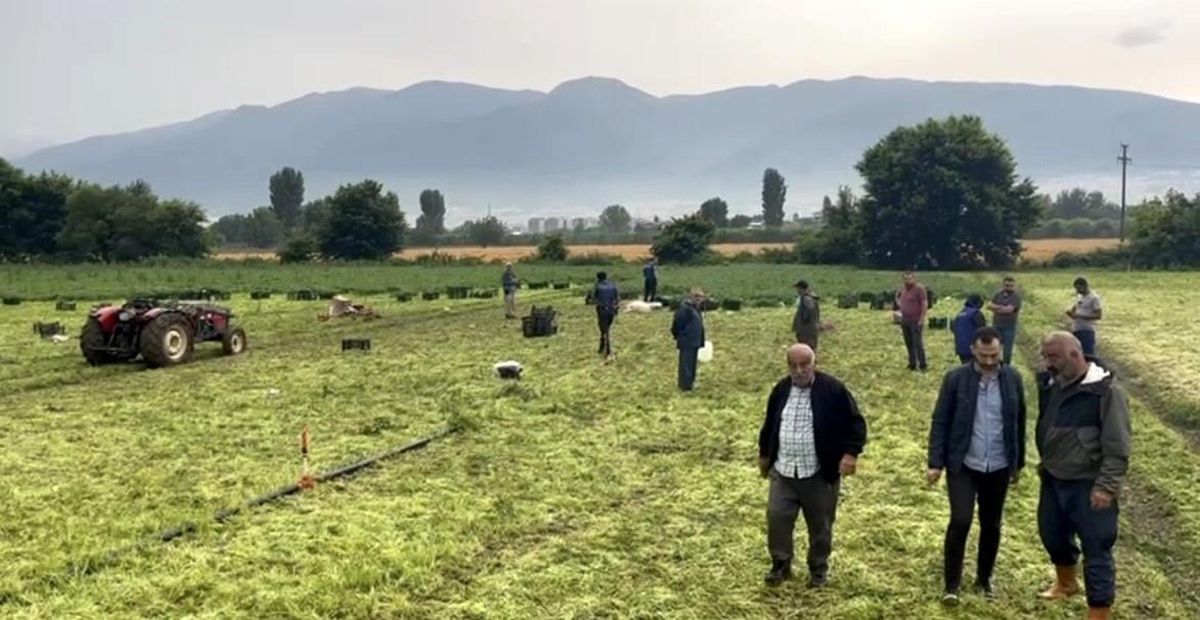 Bursa\'da İşçi Kadın Yıldırım Düşmesi Sonucu Hayatını Kaybetti