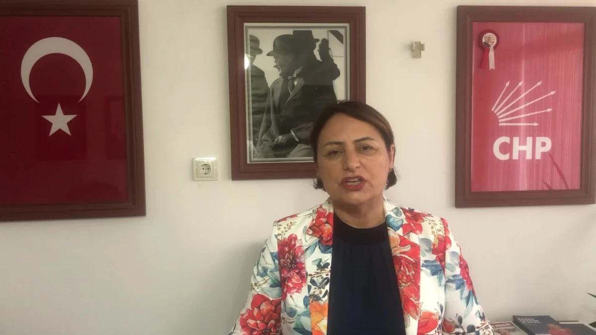 CHP Adana Milletvekili Şevkin: İlçelerin il yapılması önemli ama Büyükşehir Yasası yeniden düzenlenmeli