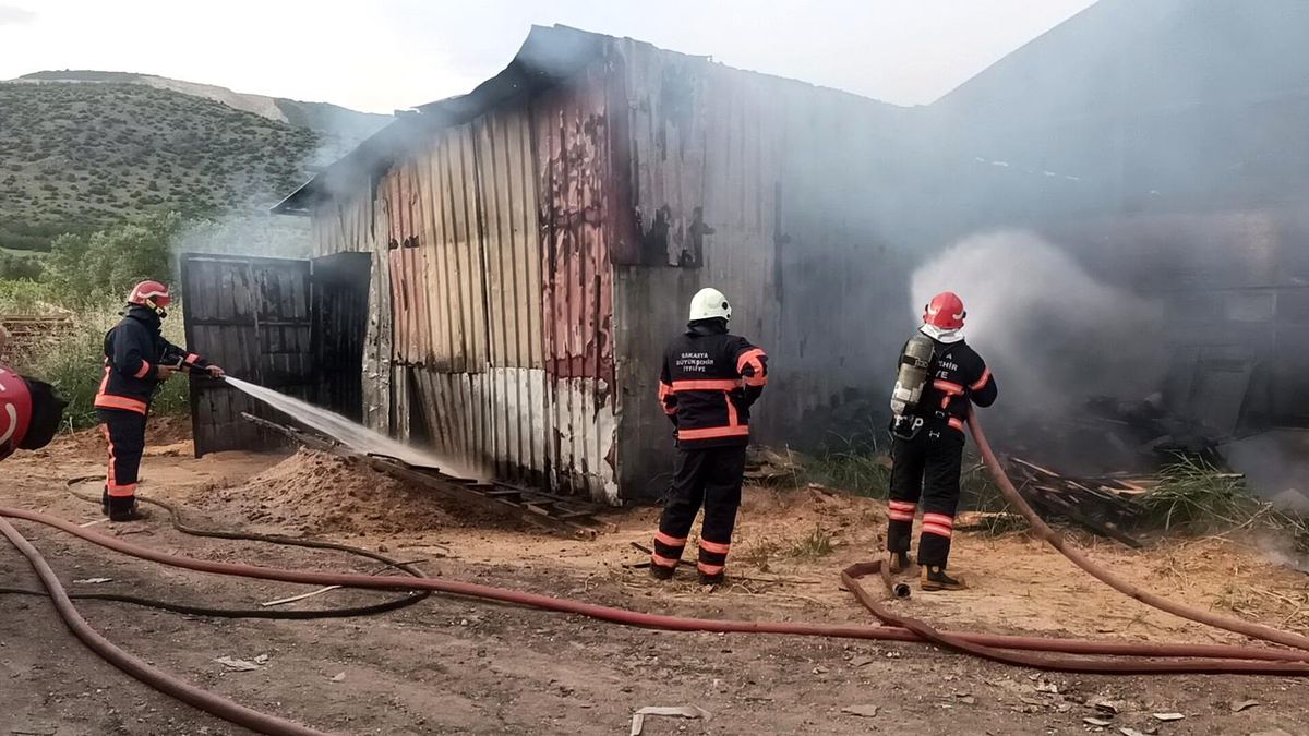 Sakarya\'da Kereste Atölyesinde Yangın Çıktı