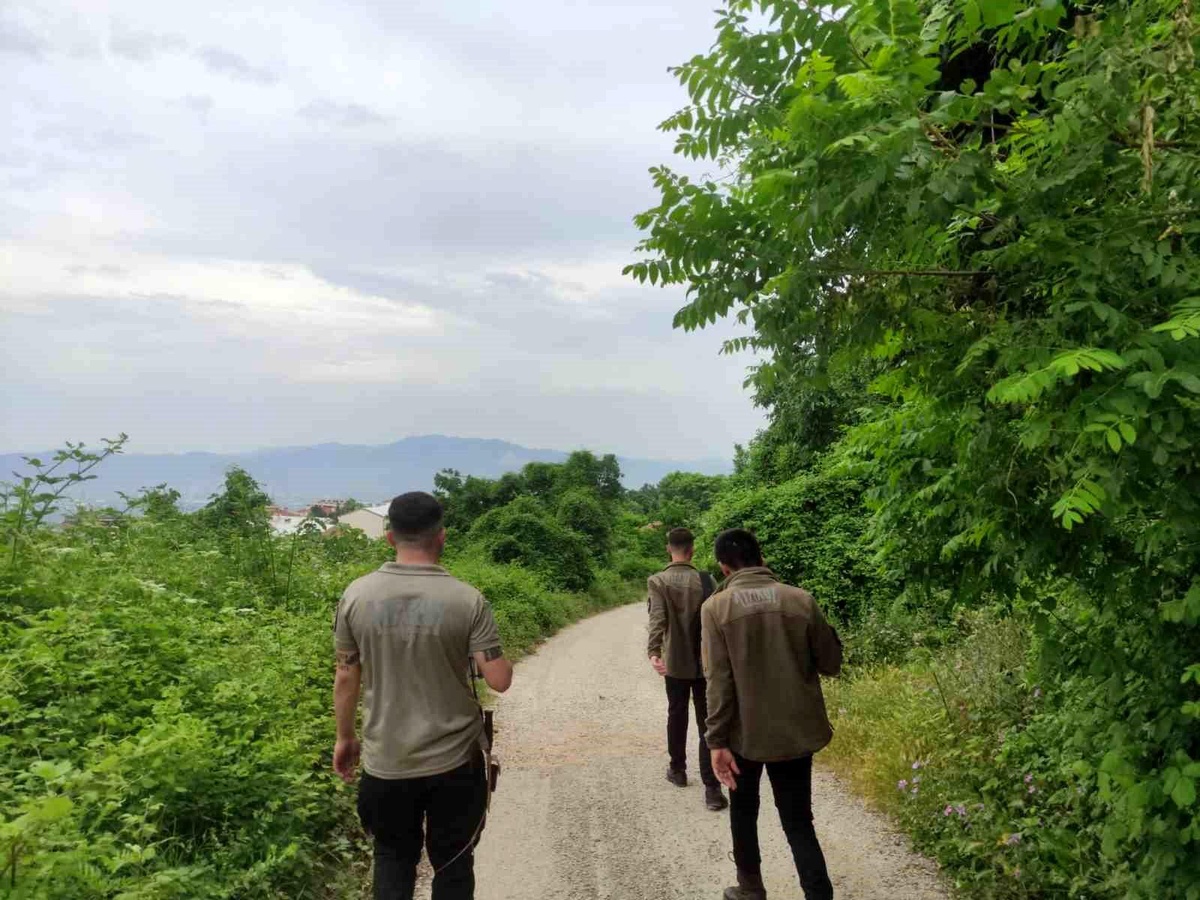 Bursa\'da kaybolan yaşlı adam için arama kurtarma çalışmaları devam ediyor