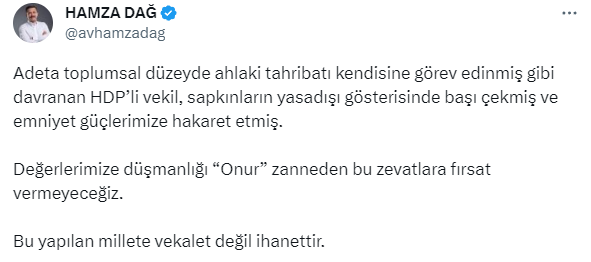 AK Parti Genel Başkan Yardımcısı Hamza Dağ, HDP'li vekilin polis ekiplerine hakaretine tepki gösterdi