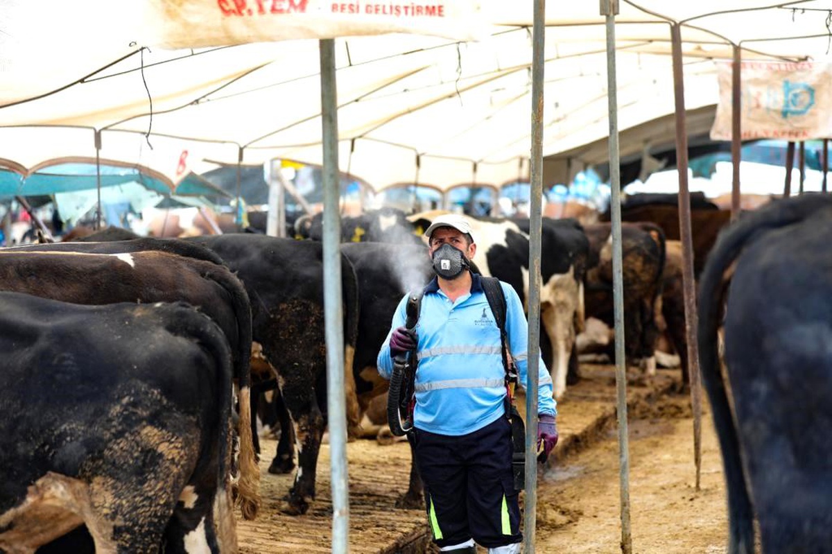 Bayraklı Belediyesi Kurban Bayramı öncesi hazırlıklarını tamamladı