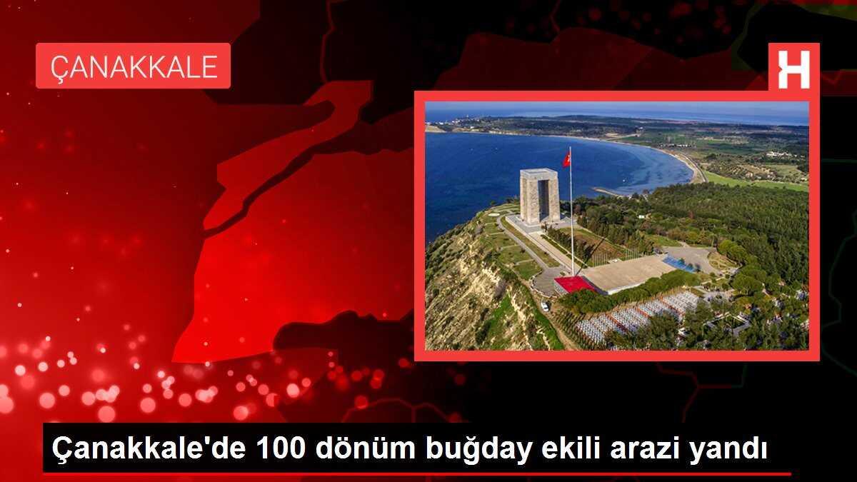 Çanakkale'nin Biga ilçesinde 100 dönüm buğday ekili arazi yandı
