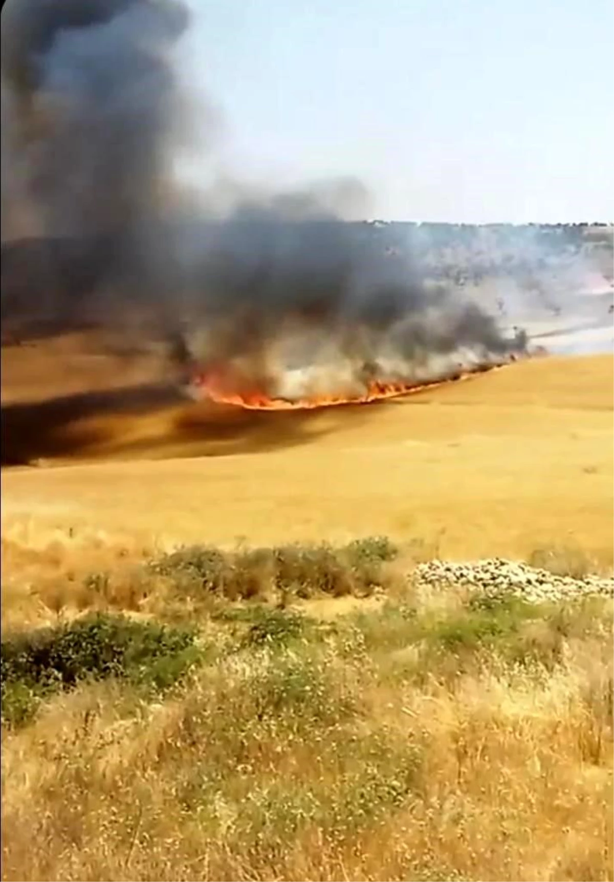 Diyarbakır\'da yaklaşık 130 dönümlük buğday tarlası küle döndü