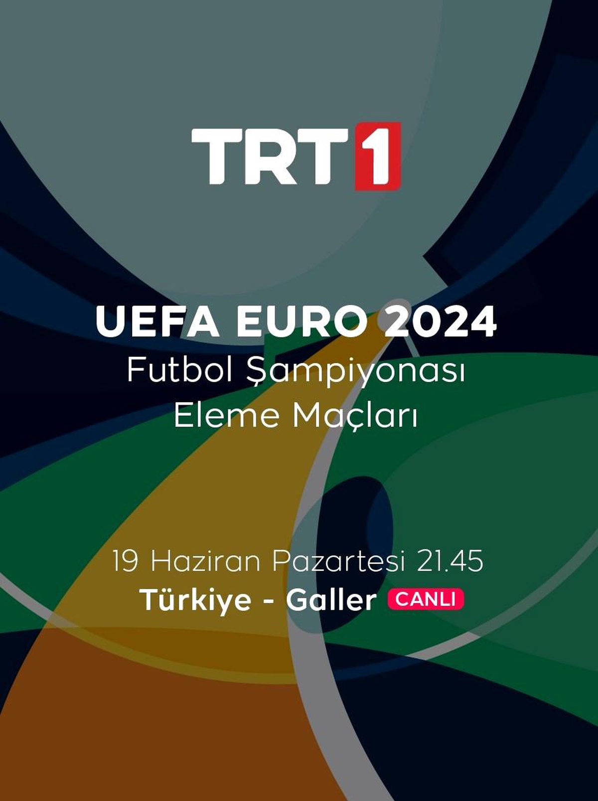 A Milli Futbol Takımı\'nın Galler maçı TRT\'de canlı yayınlanacak