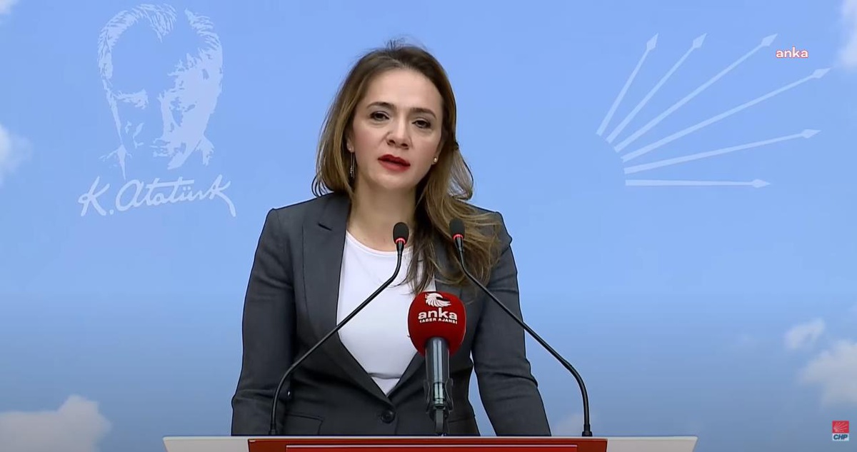 CHP Milletvekili: Kur artışı ilaç endüstrisini batma noktasına getirdi