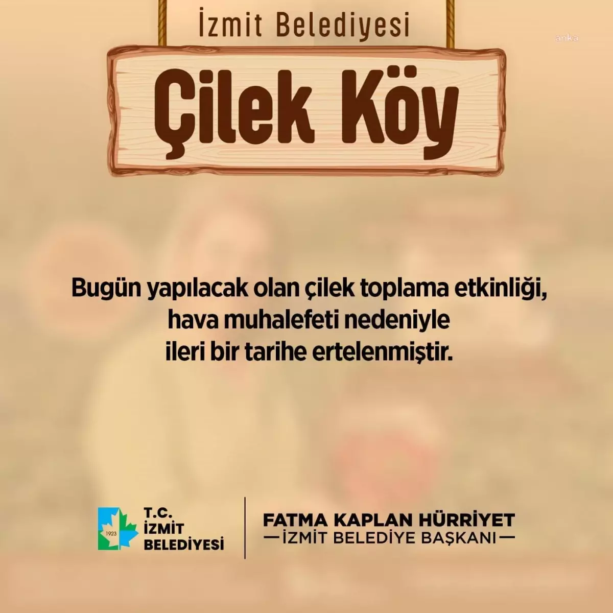 İzmit Belediyesi\'nin Çilek Köyü\'nde Hasat Programı Ertelendi