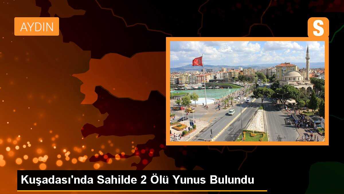 Kuşadası\'nda Sahilde 2 Ölü Yunus Bulundu