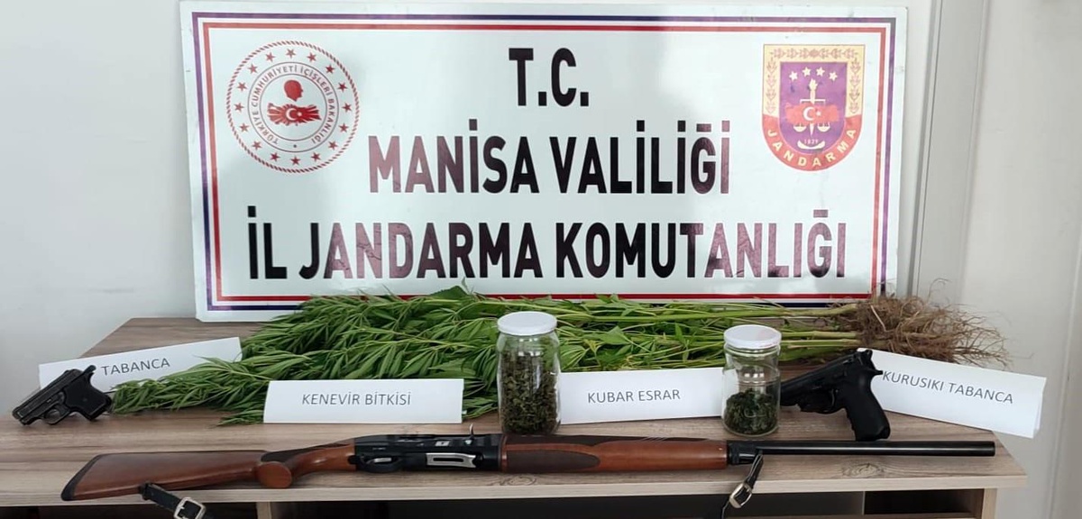 Manisa Salihli\'de 45 kök kenevir ve 30 gram esrar ele geçirildi