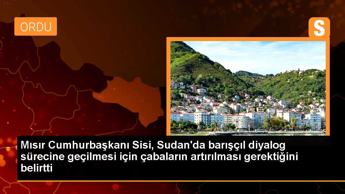 Mısır Cumhurbaşkanı Sisi, Sudan\'da barışçıl diyalog sürecine geçilmesi için çabaların artırılması gerektiğini belirtti