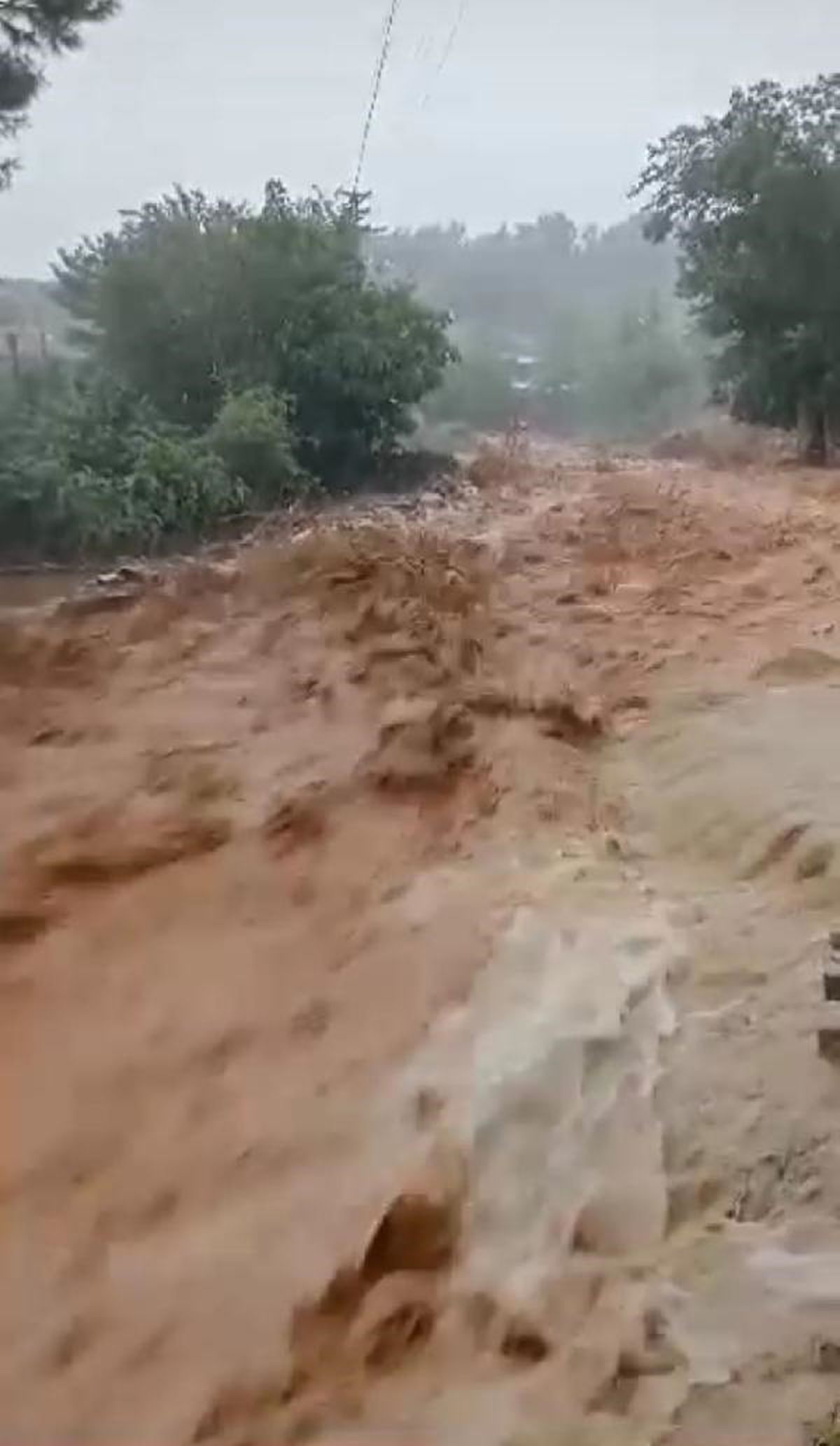 Amasya\'da Tatar Köyü sağanak yağışın etkisiyle göle döndü