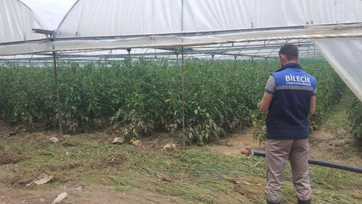 Bilecik'te sağanak; seralar su altında kaldı