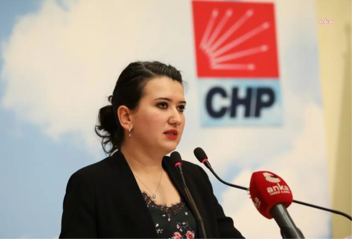 CHP Milletvekili Gökçe Gökçen, ÇEDES Projesi\'ne İlişkin Sorular Yöneltti