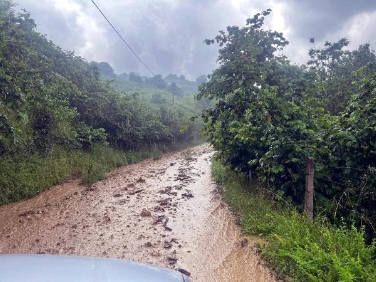 Düzce\'de Sağanak Yağış 21 Köyde Taşkınlara Neden Oldu