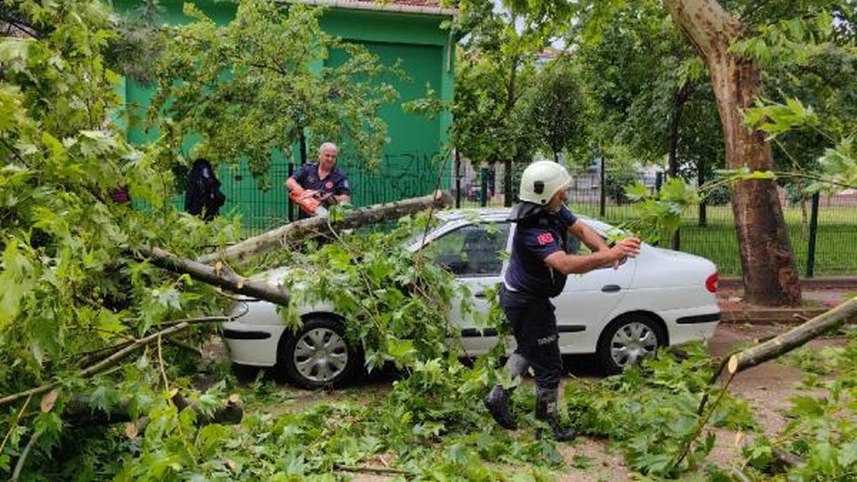 İnegöl\'de Sağanak ve Fırtına Etkili Oldu: Ağaçların Dalları Kırıldı