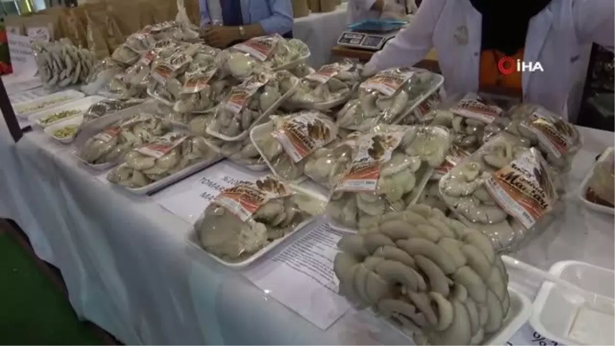 Kayseri Kadın Kooperatifleri Fuarı 200 Bin Kişi Tarafından Ziyaret Edildi